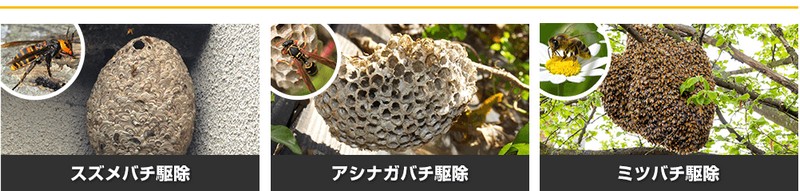 �n�`������������H���S�ȑΏ��@�Ɨ\�h����T�C�g